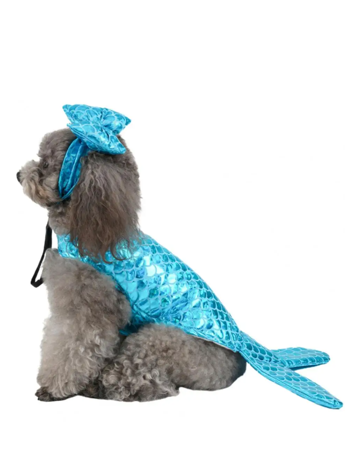 Polynesian Mermaid Dress Dog Lover With Border Collie - Sunset At The Beach LT7