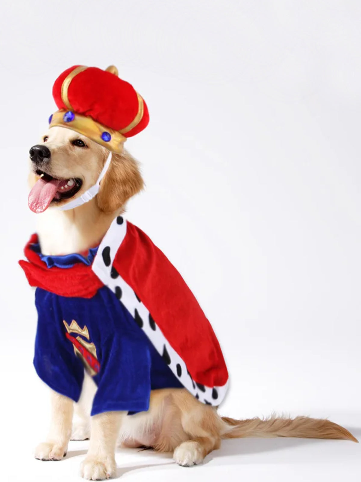 Royal dog costume discount