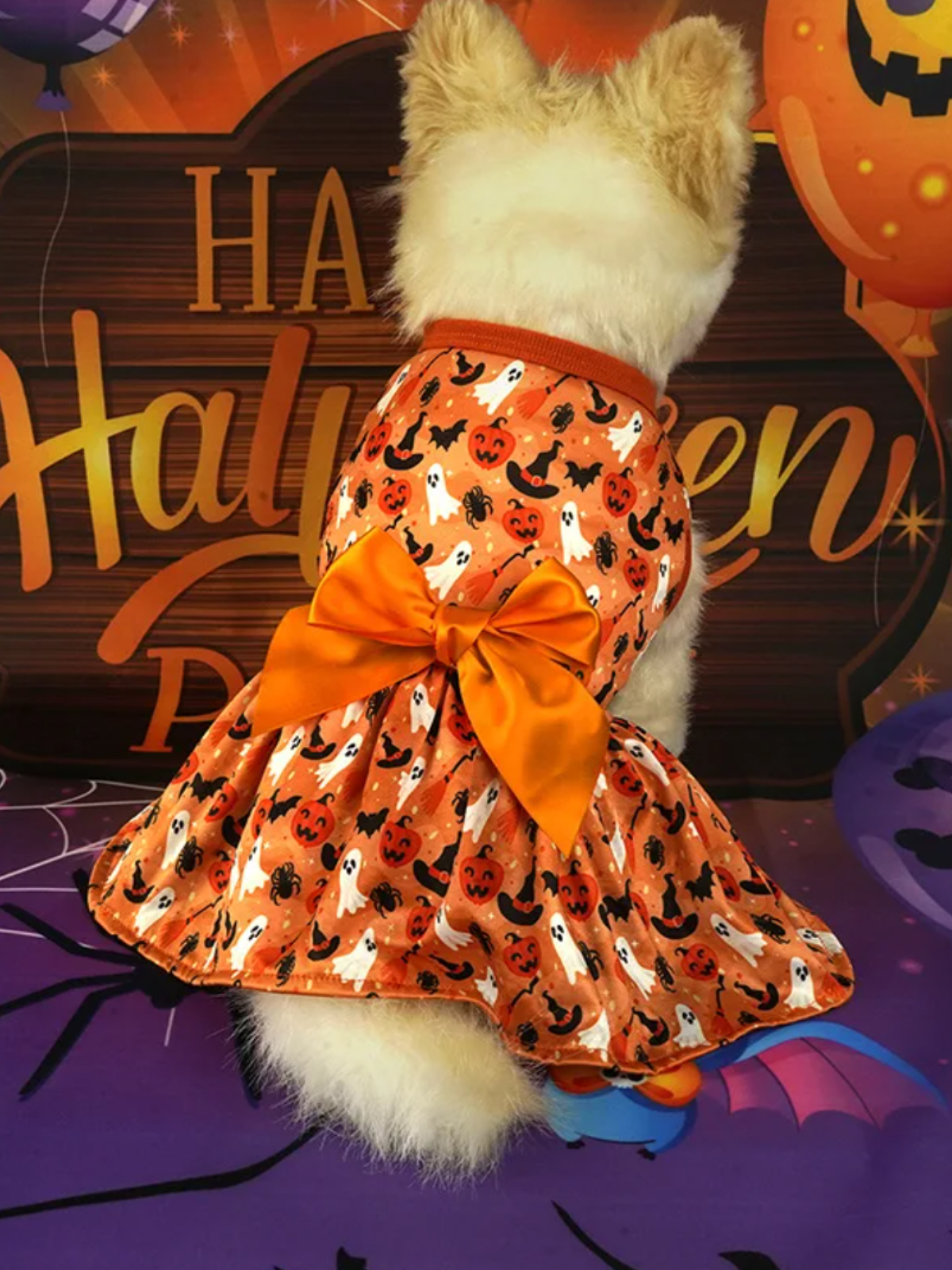 Dog Spooky Pumpkin Halloween Costume – Mia Belle Girls