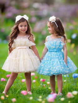 Sunshine Daisy Embroidered Floral Tutu Dress