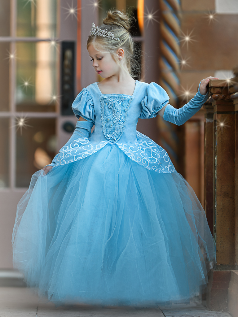 Princess ball gown costume best sale