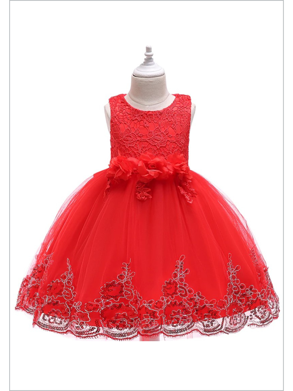 Winter Formal Dresses | Lace Sequin Princess Special Occasion Dress