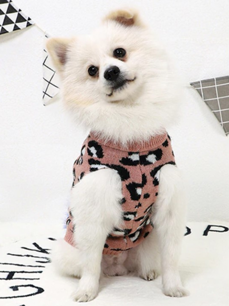 Mommy And Me Leopard Print Dog Sweater