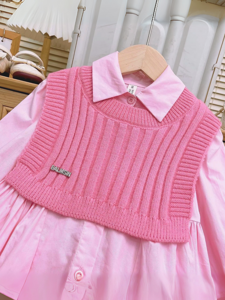 Chic Collared Dress and Sweater Vest Set