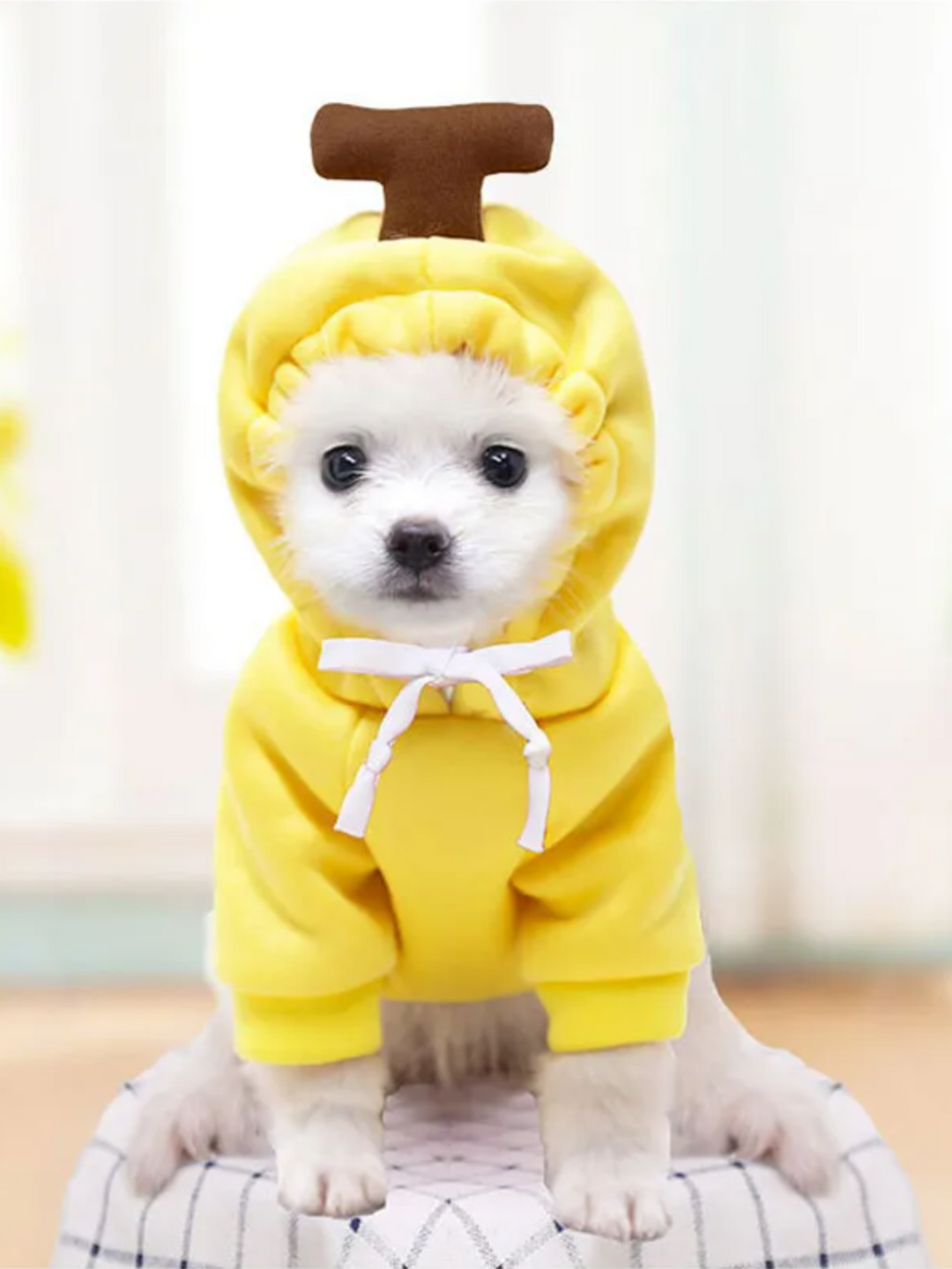 Adorable Banana Dog Halloween Costume – Mia Belle Girls