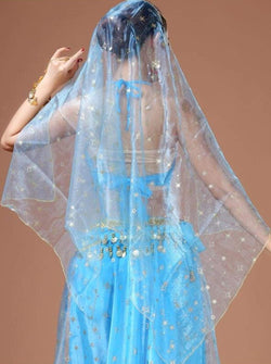 Girls Metallic Gold Embroidered Sheer Organza Veil