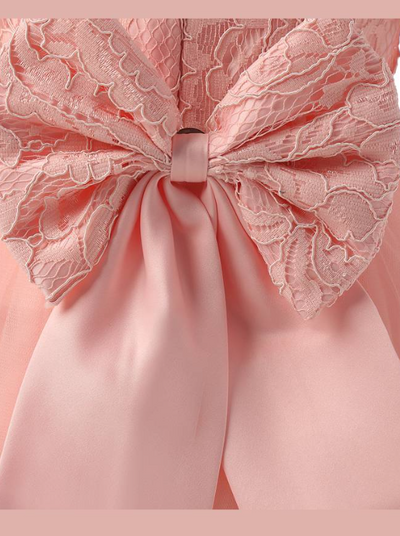 Baby Spring dress has a long-sleeved lace bodice and layered tulle skirt with a big bow the back
