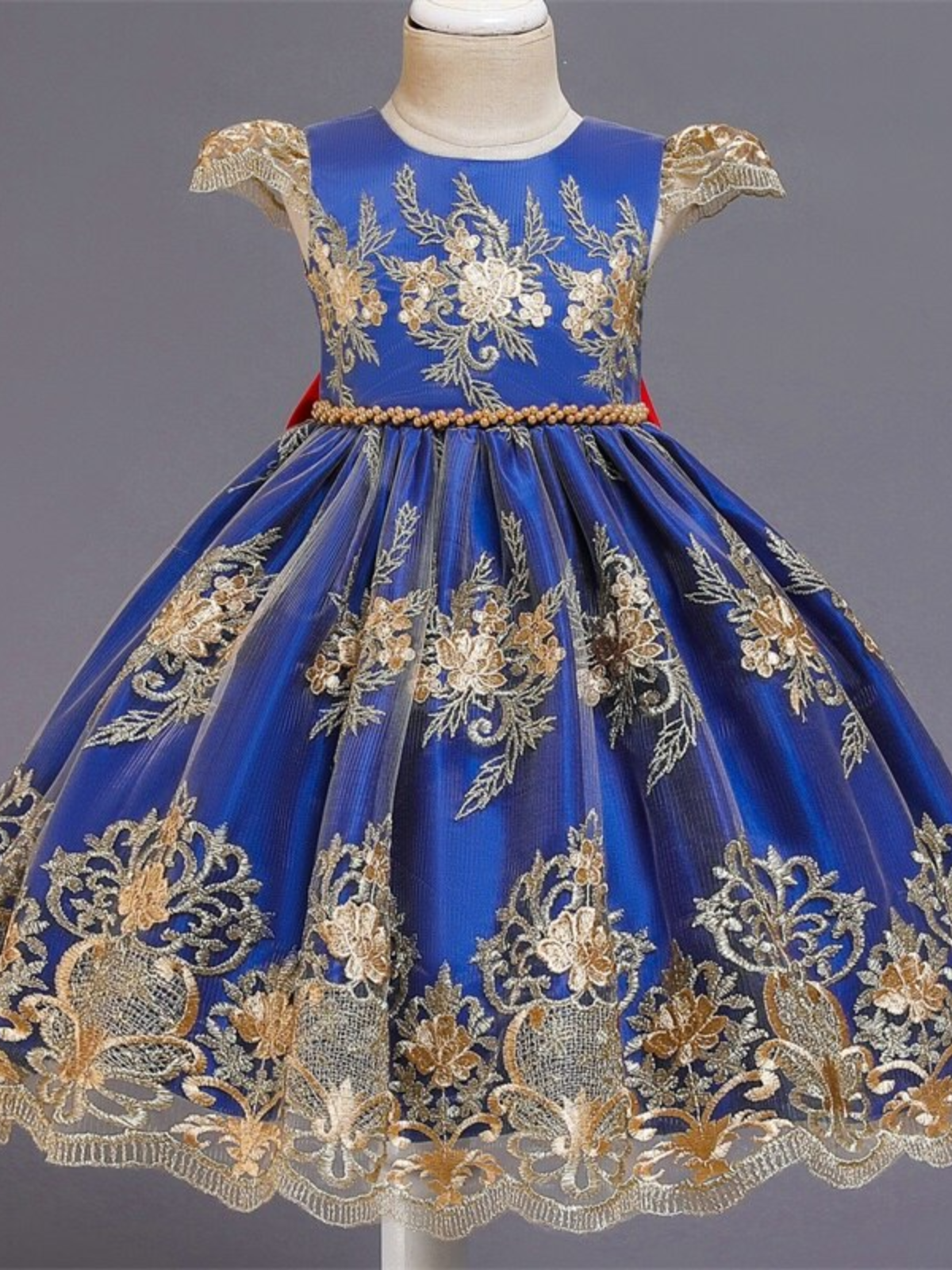 Embellished Beauty Embroidered Princess Dress