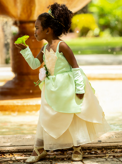 Girls Halloween Costumes | Frog Princess Sleeveless Gown & Arm Sleeves