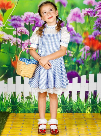 Girls Dorothy from Wizard of Oz Inspired Halloween Costume - Blue / 12M - Girls Halloween Costume