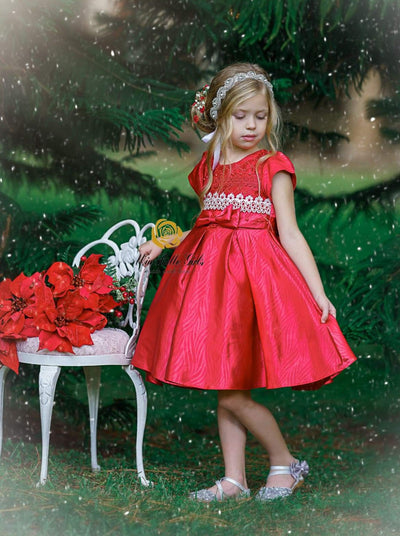Girls Embroidered Lace Applique Holiday Dress - Girls Fall Dressy Dress
